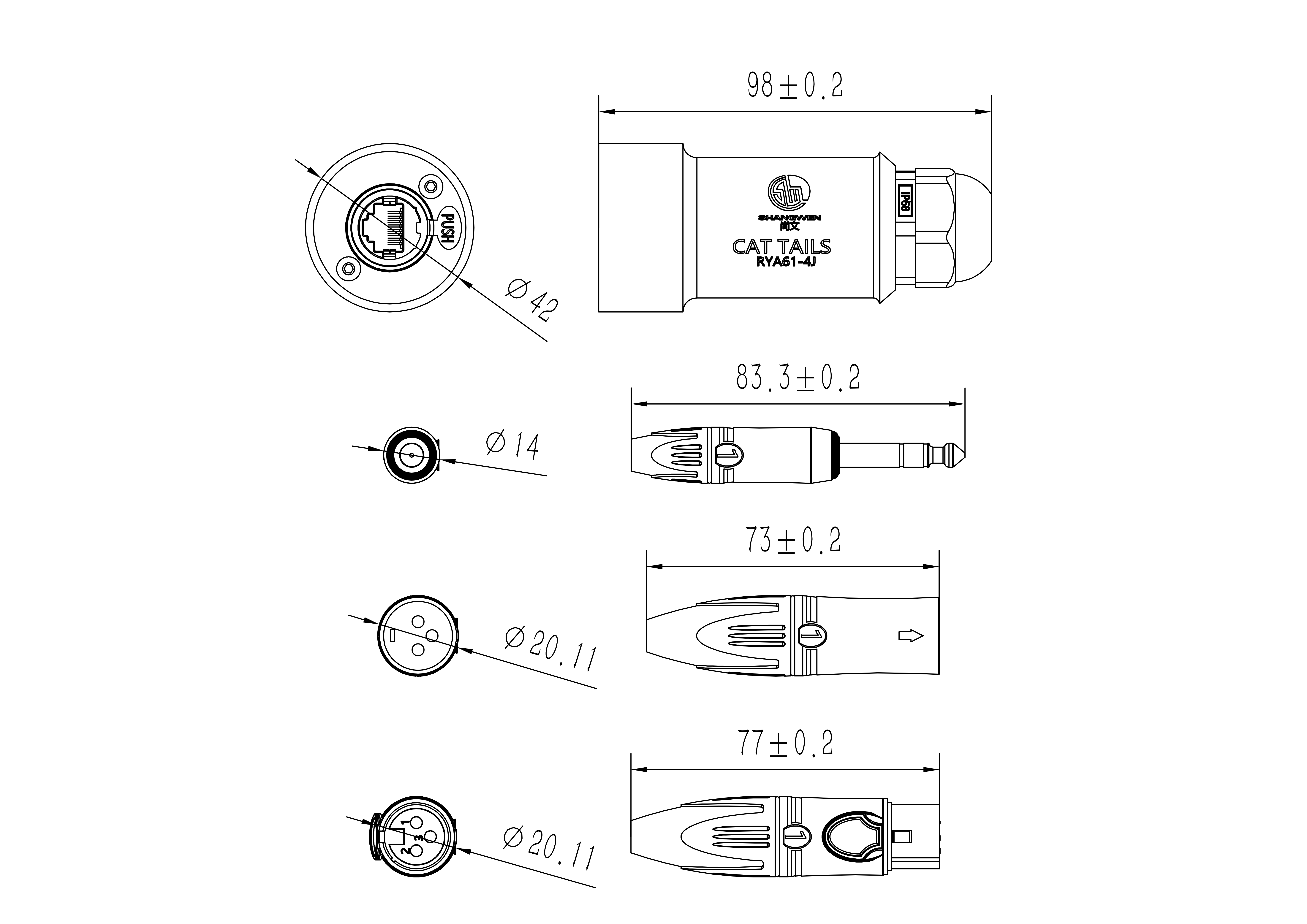 网络散尾 Model (1)_00.png